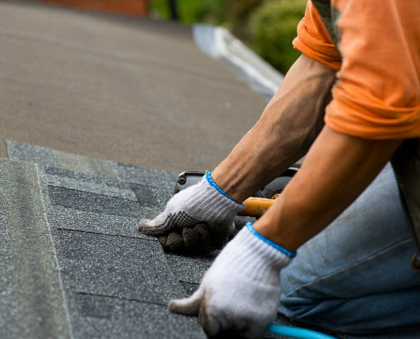 Quick and Trustworthy Emergency Roof Repair Services in North Mankato, MN